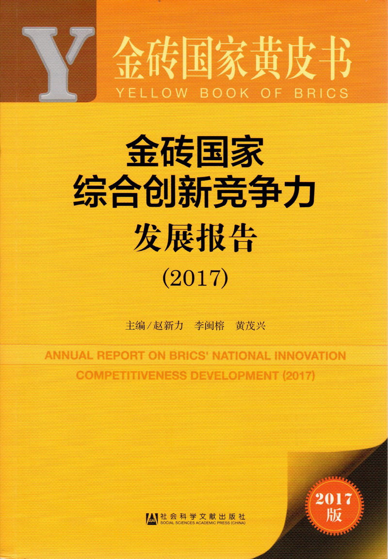 家庭乱伦大鸡巴肏大屄视频金砖国家综合创新竞争力发展报告（2017）